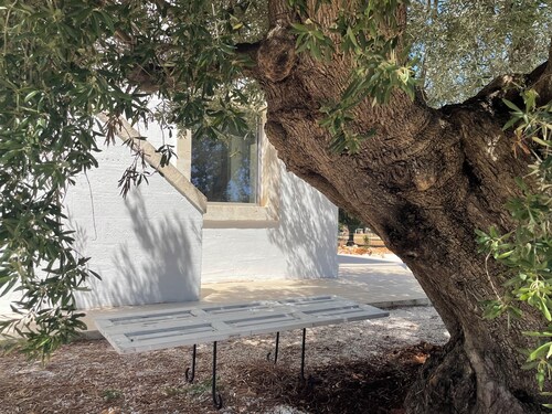 Lamia récemment rénovée, entourée d'oliviers et de végétation méditerranéenne