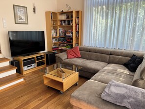 Smart TV, fireplace, DVD player, books