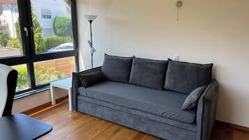 Een smart-tv, een open haard, een dvd-speler en boeken