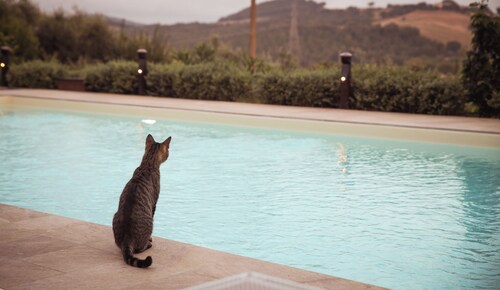 Farmhouse with pool located in the beautiful Tuscan countryside near Saturnia