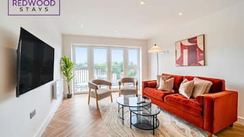 Fernseher, Arbeitsbereiche