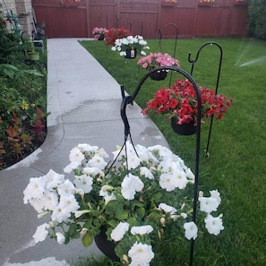 Property grounds - Private Walk Out Garden Apartment With Patio (Mississauga)