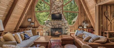 TV, fireplace, DVD player, books