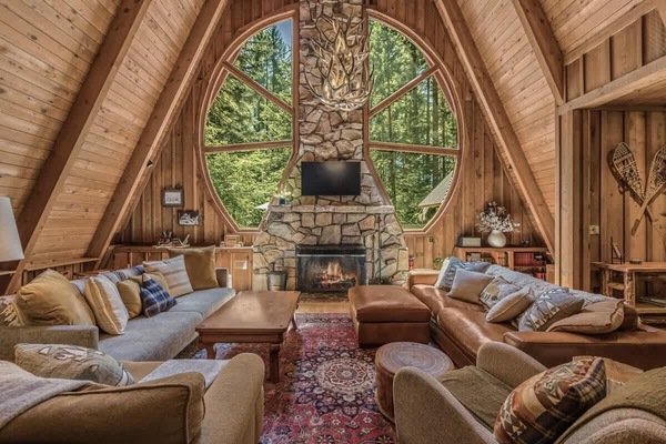 TV, fireplace, DVD player, books