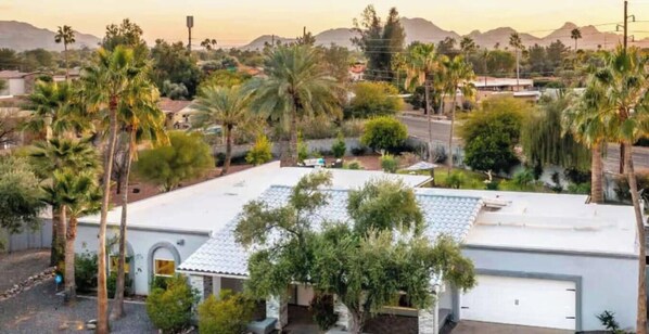 Un quartier résidentiel avec un bâtiment blanc doté d’un garage, entouré de palmiers et d’autres plantes.