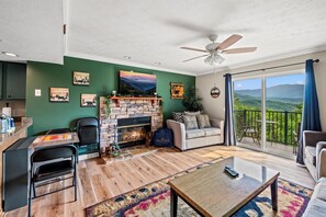 TV, fireplace