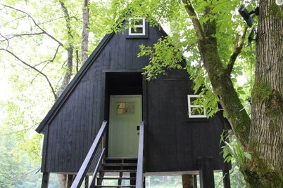 Tiny Treehouse Escape with Wi-Fi, Modern Amenities, BBQ Deck + Mountain Views