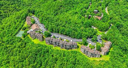 Mountain Views Indoor Pool Sauna Fireplace