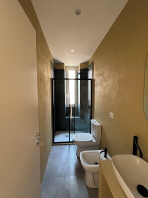 Shower, hair dryer, bidet, towels