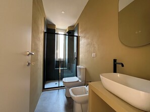 Shower, hair dryer, bidet, towels