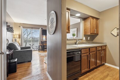 Germantown Area: Riverfront View, Titan's Stadium, Downtown, Food, & Good Times!