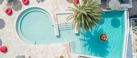 An aerial view of a swimming pool with a palm tree, lounge chairs, and umbrellas.