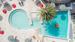Vista aerea di una piscina con una palma, sedie a sdraio e ombrelloni.