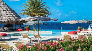 Pool - Premium Villa - Private Pool (Sint Willibrordus)