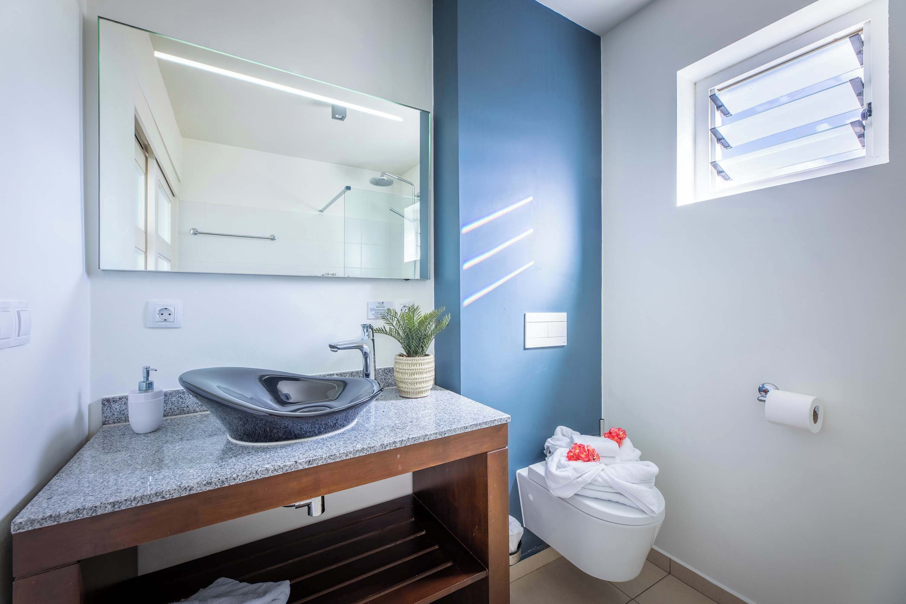 Ducha, secador de pelo y toallas