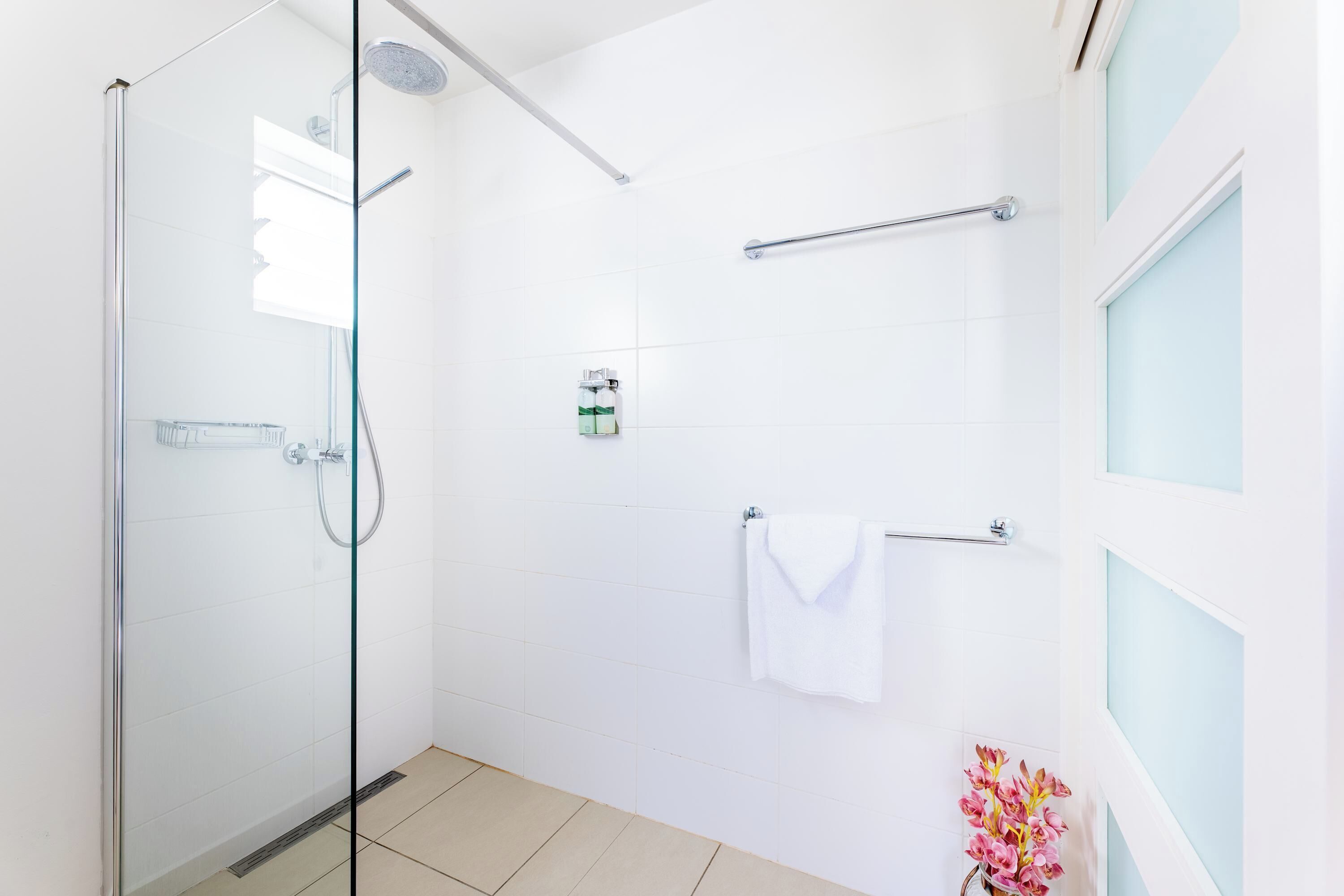 Shower, hair dryer, towels
