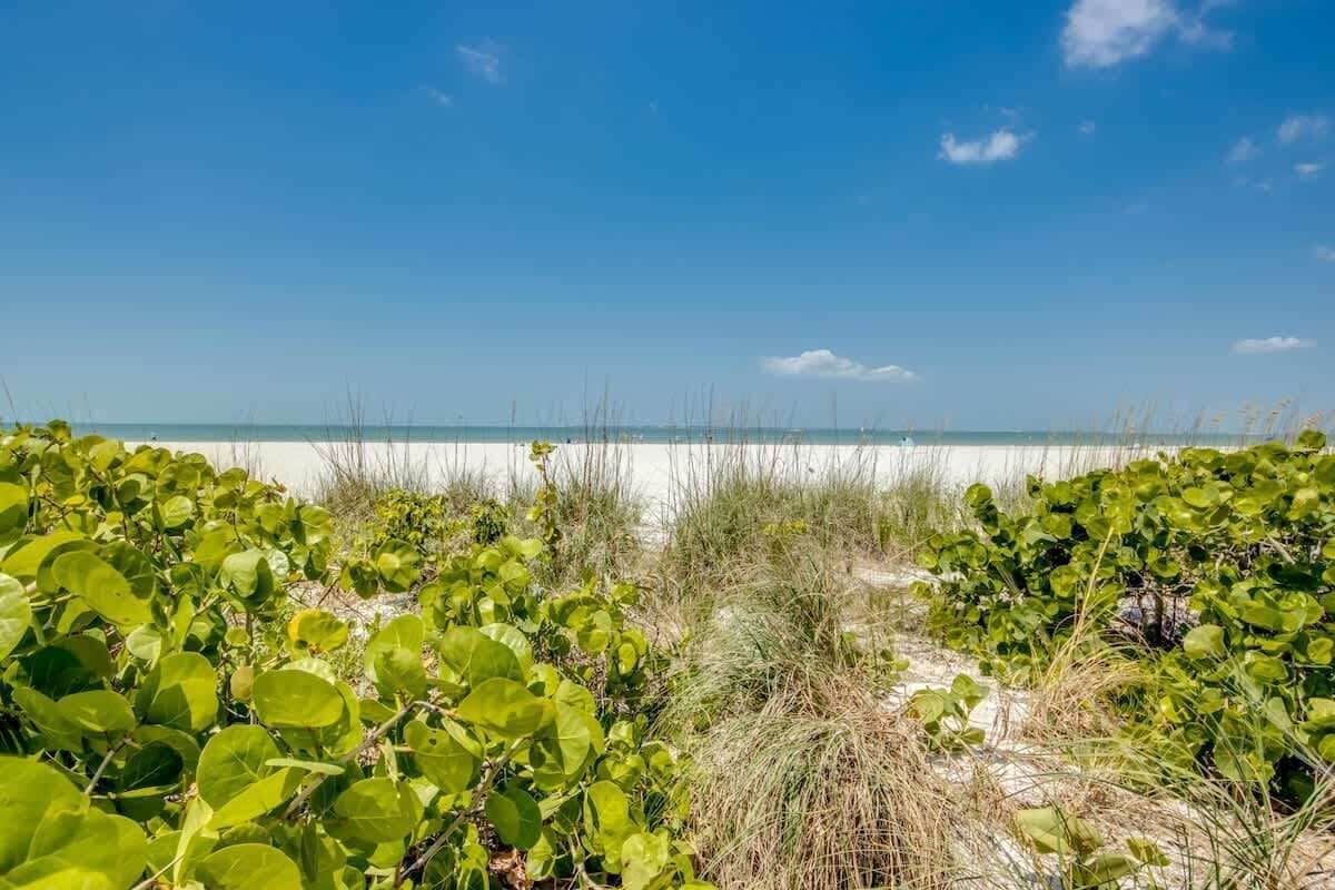Una playa con vegetación verde y cielo despejado.