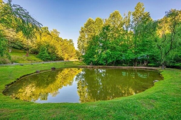 A pond surrounded by lush greenery and trees.
