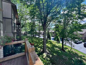 Property grounds - Charming two-bedroom, two-bathroom condo minutes away from Sugar Mnt. Resort (Sugar Mountain)