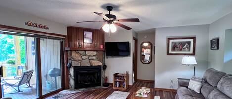TV, fireplace