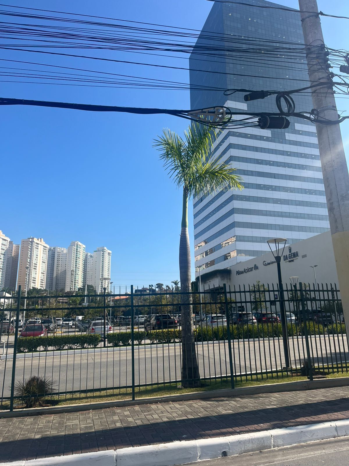 A modern building with a glass facade, surrounded by a parking area and a palm tree.