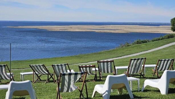 A view of a beach with rows of beach chairs and a grassy area leading to the water.