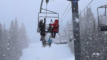 Eine Seilbahn mit Fahrgästen, umgeben von schneebedeckten Bäumen.