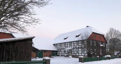 Apartment over 2 floors, with yard+garden+parking space, ideal f. Vacationers with child and / or cone