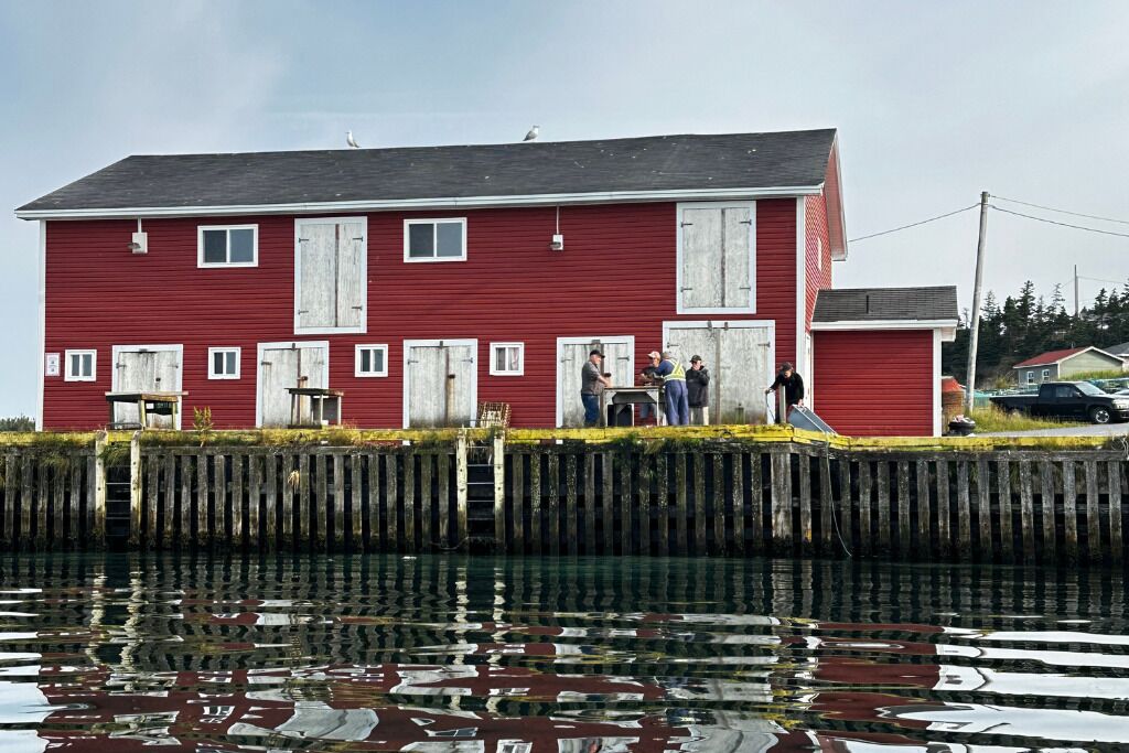 Fishermen cleaning their catch at the wharf in Whiteway