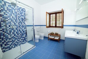 Shower, hair dryer, bidet, towels