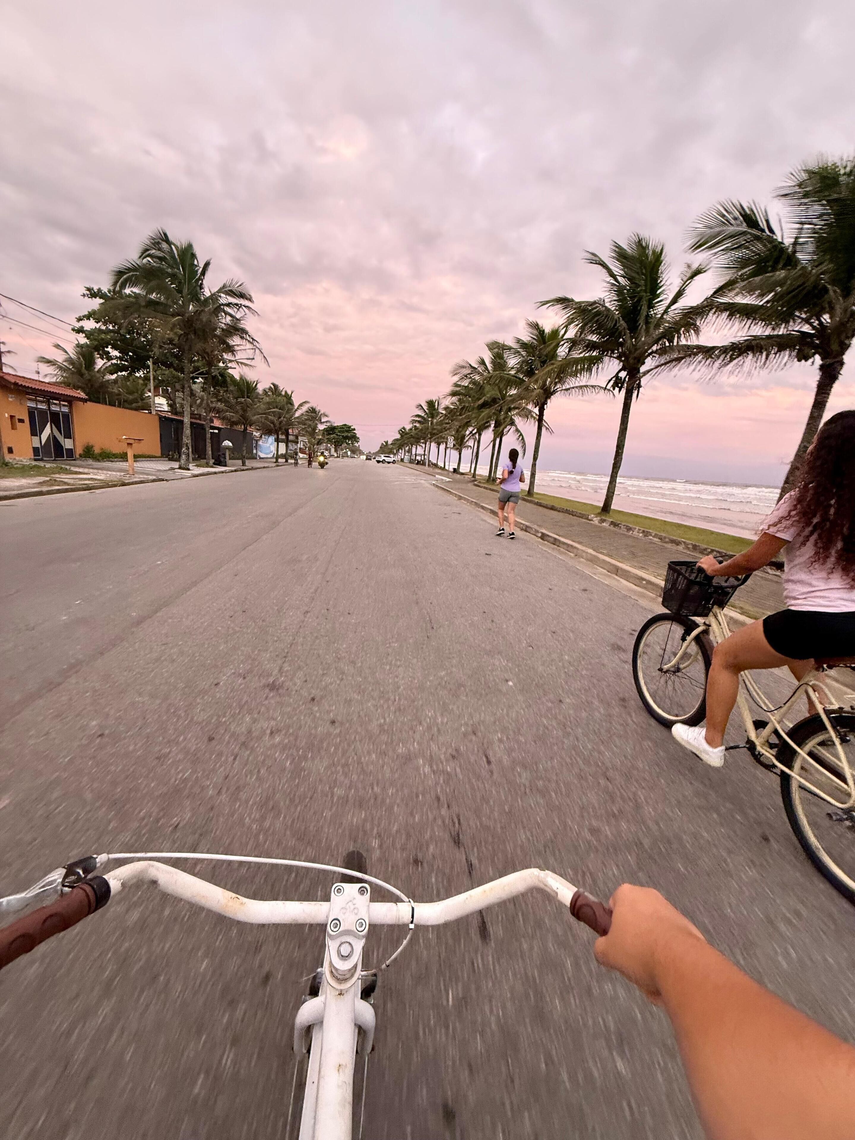 A street with a bicycle lane, palm trees, and a view of the ocean.