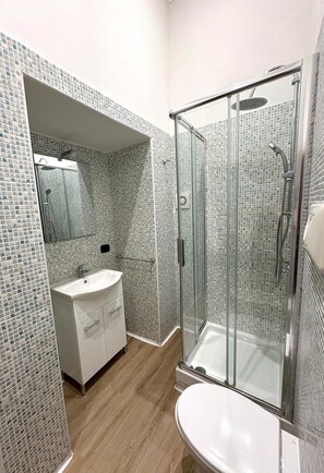 Shower, hair dryer, bidet, towels