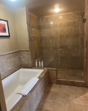 تجهيزات دش، مجففات شعر، مناشف، صابون