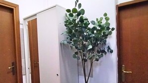 En potteplante i et hjørne af et rum med trædøre.