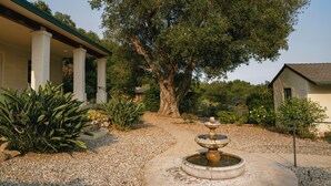 A garden with a fountain, a large tree, and a building with columns.