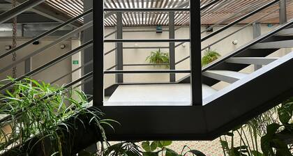 Capybara Hostel