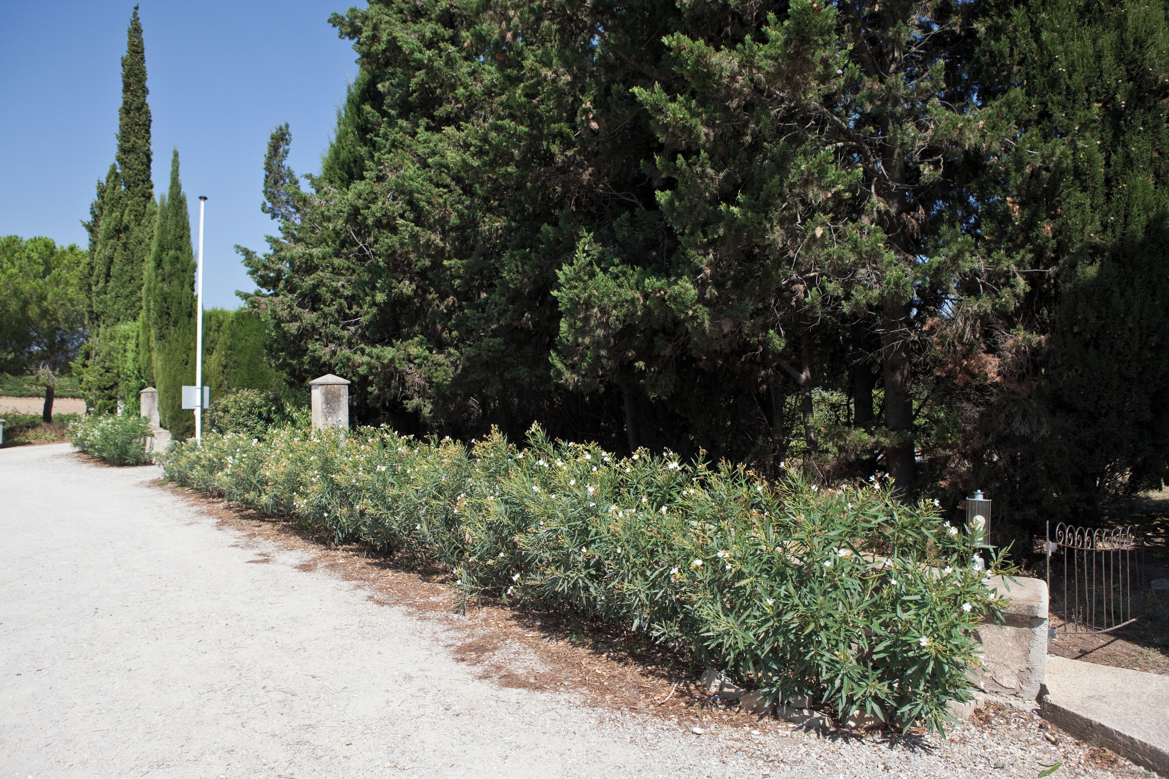 Enceinte de l’hébergement