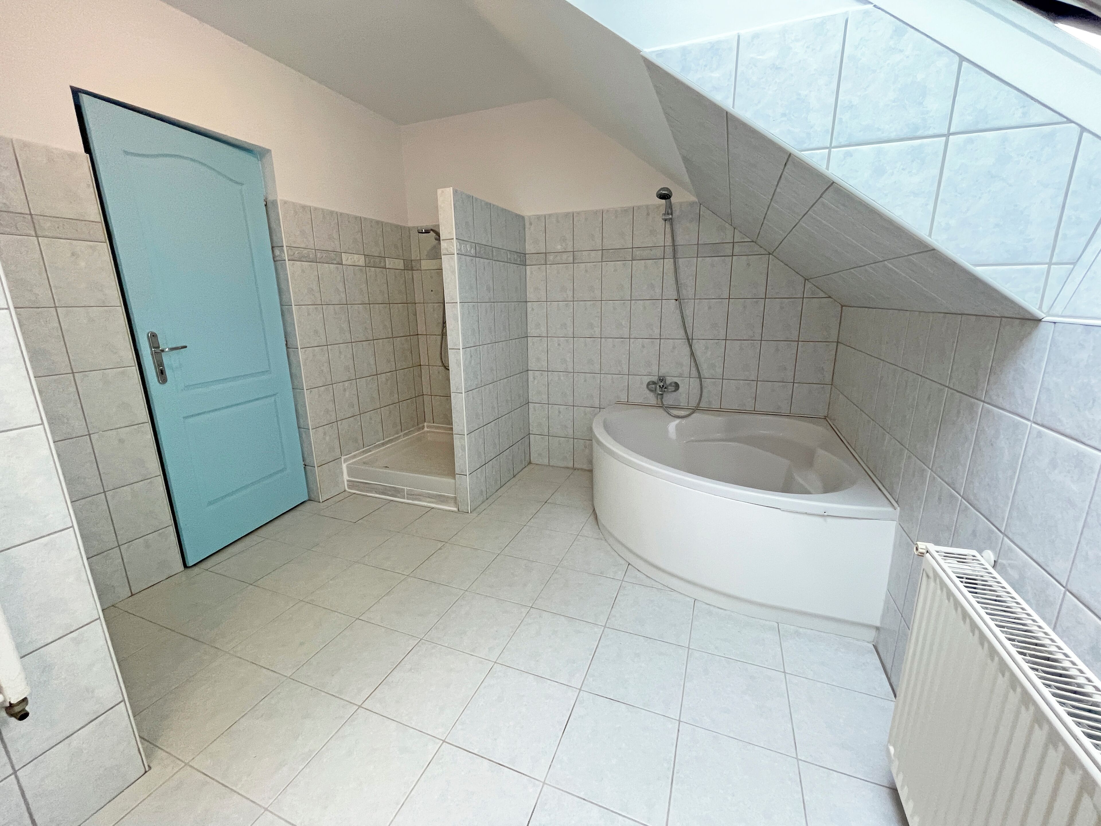 Une salle de bain avec une baignoire, une douche et une porte bleue.