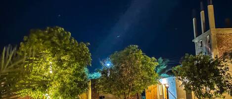 Junior Villa, Balcony, Garden View | Garden view