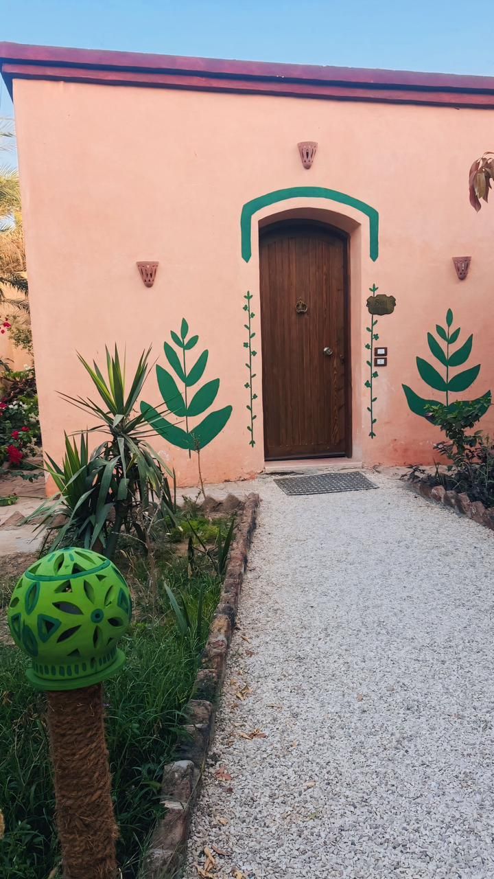 A building with a wooden door, a gravel path, and green plant decorations.