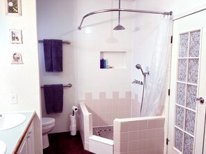 Douche, séchoir à cheveux, serviettes fournies, savon