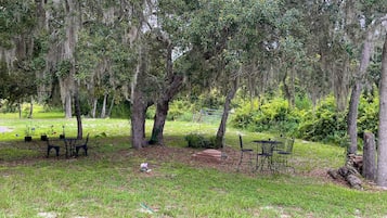 Restauration en plein air