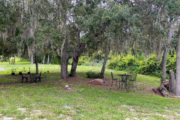 Servei de restauració a l'aire lliure