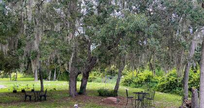 Comfy Half Acre Hideaway