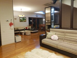 Smart TV, fireplace, DVD player, books