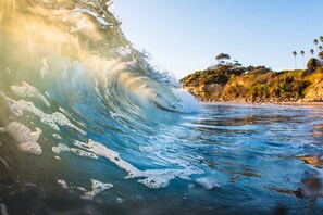 A wave in the ocean with a beach and palm trees in the background.