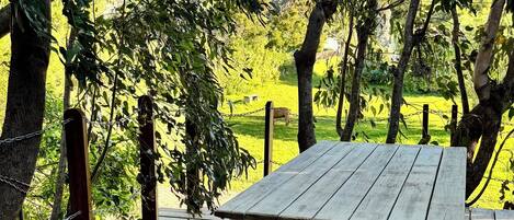 Servei de restauració a l'aire lliure