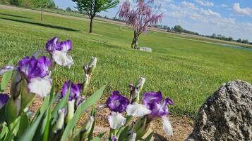 Detalle del exterior