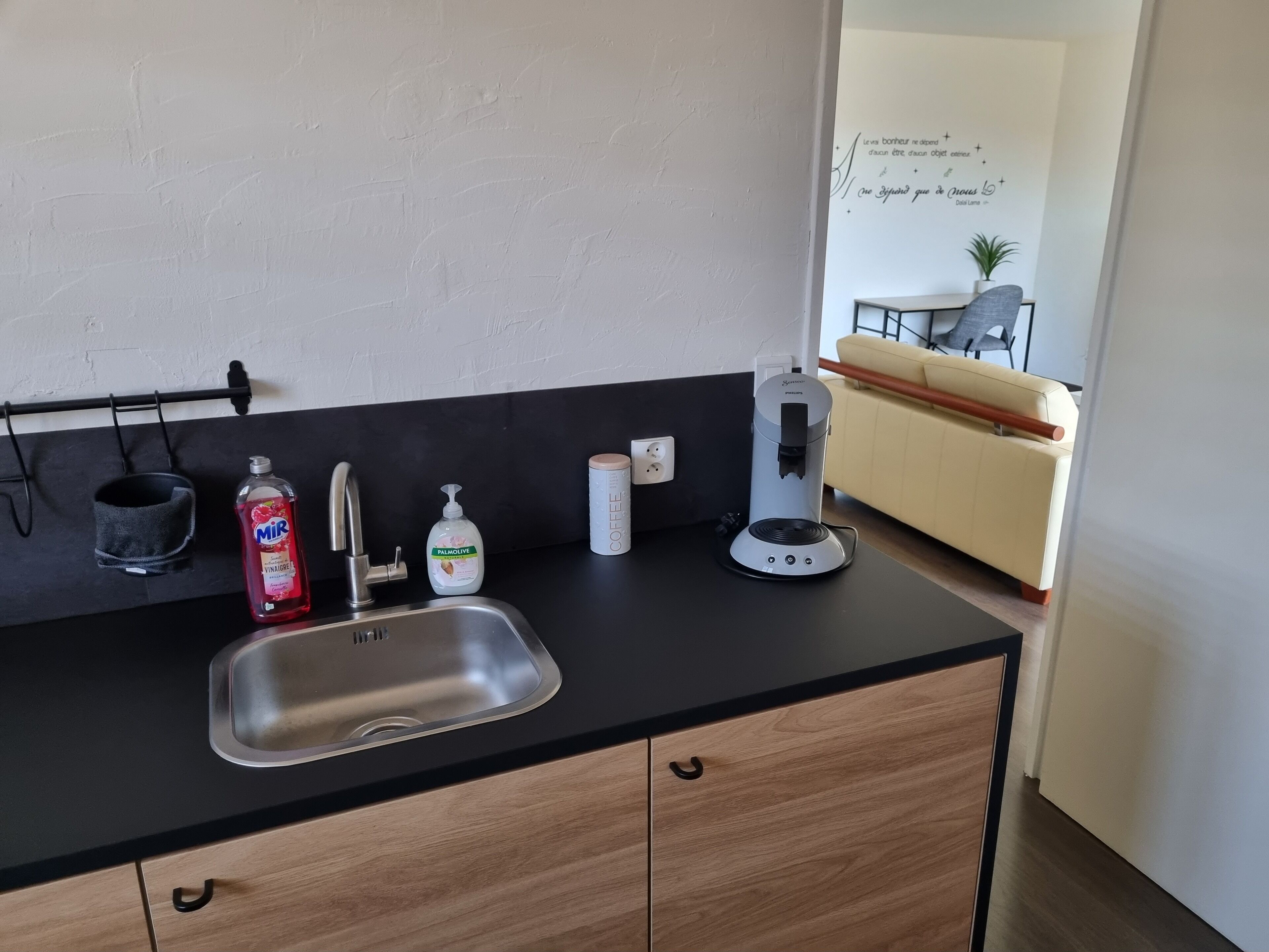 Eine moderne Küche mit Spüle aus Edelstahl, einer Kaffeemaschine und einer Flasche Palmolive Seife.