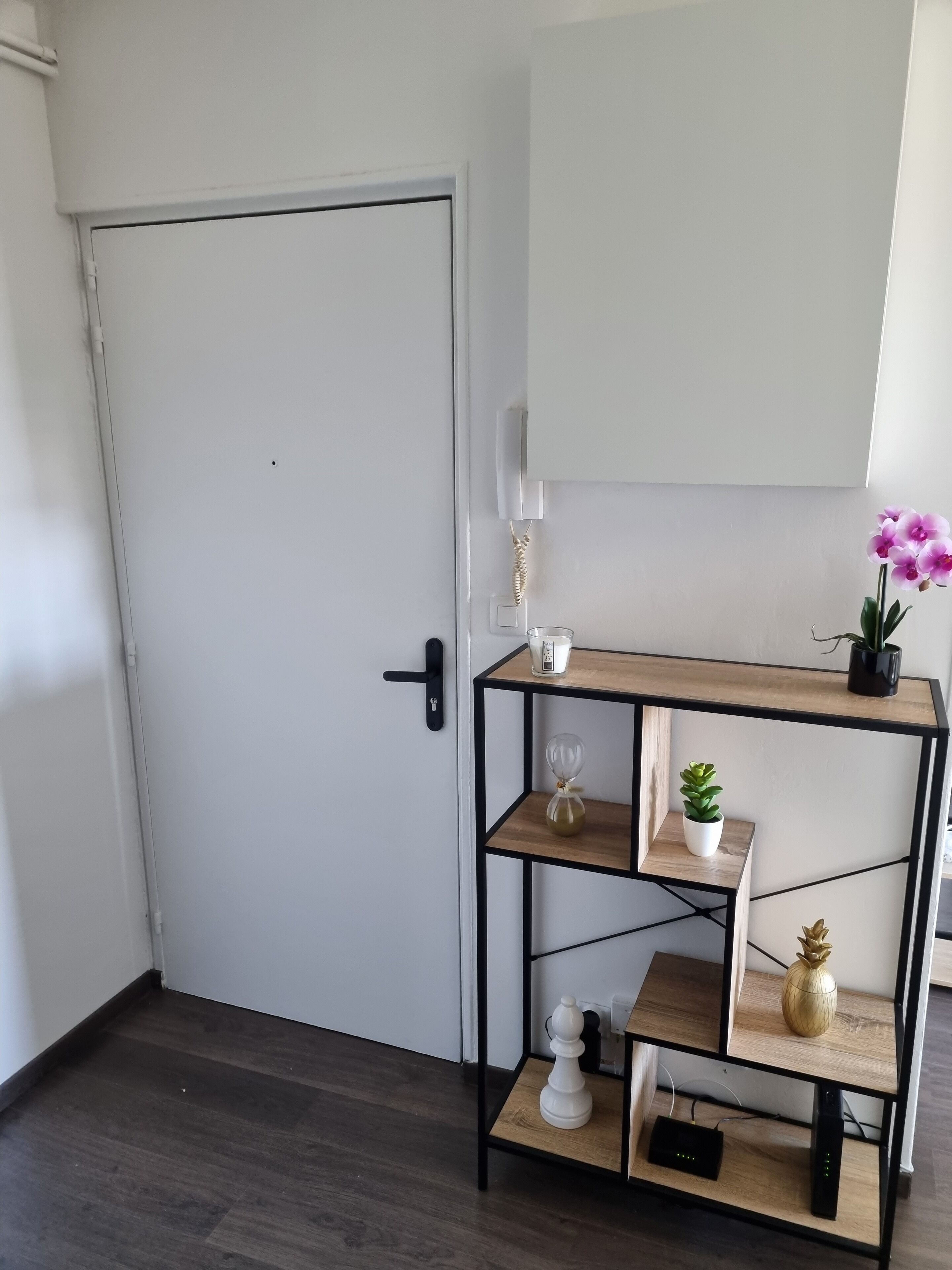 A room with a white door, a black-framed wooden shelf with various items, and a small potted plant.